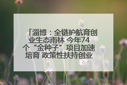 淄博：全链护航育创业生态雨林 今年74个“金种子”项目加速培育 政策性扶持创业9754人