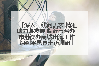 深入一线问需求 精准助力谋发展 临沂市台办 市港澳办商城出海工作组到平邑县走访调研