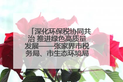 深化环保税协同共治 推进绿色高质量发展——张家界市税务局、市生态环境局签署合作备忘录