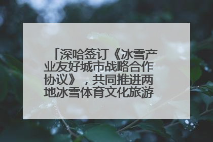 深哈签订《冰雪产业友好城市战略合作协议》，共同推进两地冰雪体育文化旅游高质量发展
