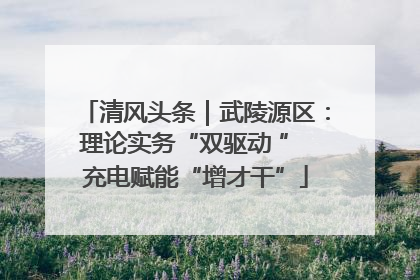 清风头条｜武陵源区：理论实务“双驱动 ” 充电赋能“增才干”