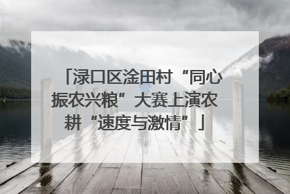 渌口区淦田村“同心振农兴粮”大赛上演农耕“速度与激情”