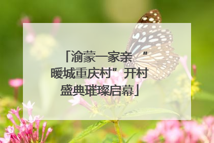 渝蒙一家亲 “暖城重庆村”开村盛典璀璨启幕