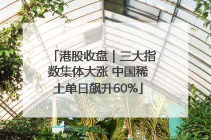 港股收盘｜三大指数集体大涨 中国稀土单日飙升60%