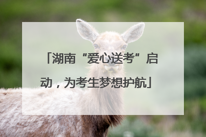 湖南“爱心送考”启动，为考生梦想护航
