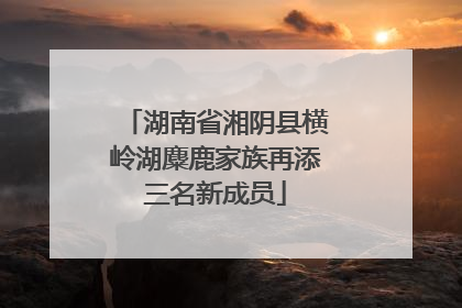 湖南省湘阴县横岭湖麋鹿家族再添三名新成员