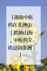 湖南中医药在非洲③｜跨越山海，中医药文化浸润非洲