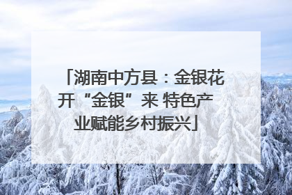 湖南中方县：金银花开“金银”来 特色产业赋能乡村振兴