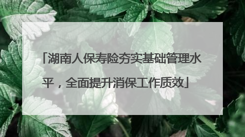 湖南人保寿险夯实基础管理水平，全面提升消保工作质效