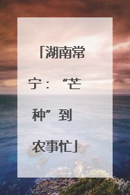 湖南常宁：“芒种”到 农事忙