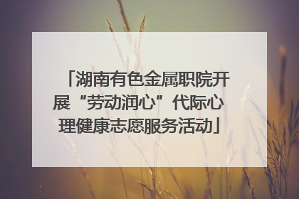 湖南有色金属职院开展“劳动润心”代际心理健康志愿服务活动