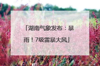 湖南气象发布：暴雨！7级雷暴大风