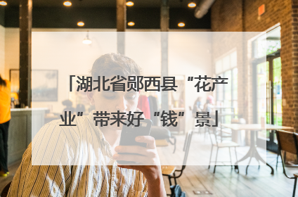 湖北省郧西县“花产业”带来好“钱”景