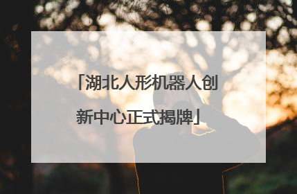 湖北人形机器人创新中心正式揭牌