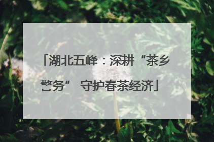 湖北五峰：深耕“茶乡警务” 守护春茶经济