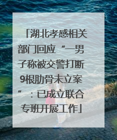 湖北孝感相关部门回应“一男子称被交警打断9根肋骨未立案”：已成立联合专班开展工作