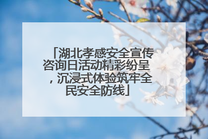 湖北孝感安全宣传咨询日活动精彩纷呈，沉浸式体验筑牢全民安全防线