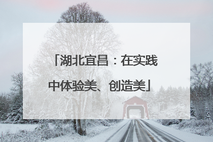 湖北宜昌：在实践中体验美、创造美