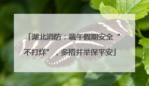 湖北消防：端午假期安全“不打烊”，多措并举保平安
