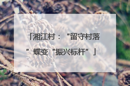 湘江村：“留守村落”蝶变“振兴标杆”