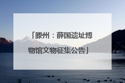 滕州：薛国遗址博物馆文物征集公告