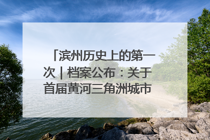 滨州历史上的第一次｜档案公布：关于首届黄河三角洲城市经济博览会暨发展论坛情况的总结报告