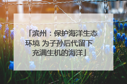 滨州：保护海洋生态环境 为子孙后代留下充满生机的海洋
