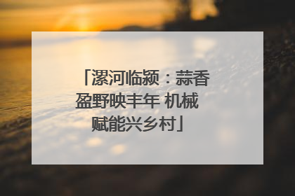 漯河临颍：蒜香盈野映丰年 机械赋能兴乡村