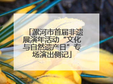 漯河市首届非遗展演年活动“文化与自然遗产日”专场演出侧记