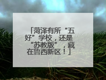 菏泽有所“五好”学校，还是“苏教版”，藏在鲁西新区！