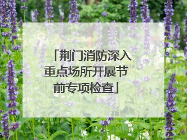 荆门消防深入重点场所开展节前专项检查