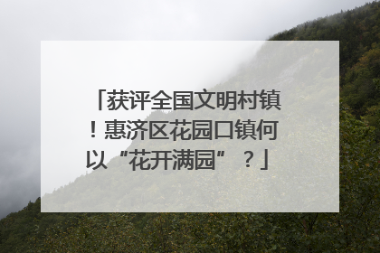 获评全国文明村镇！惠济区花园口镇何以“花开满园”？