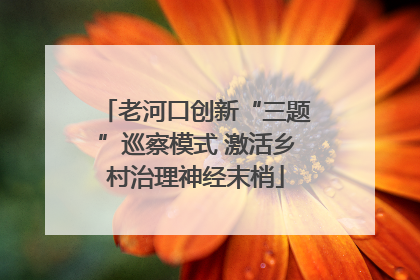 老河口创新“三题”巡察模式 激活乡村治理神经末梢