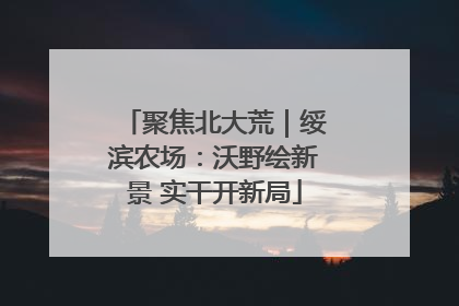聚焦北大荒｜绥滨农场：沃野绘新景 实干开新局