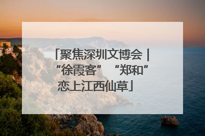 聚焦深圳文博会｜“徐霞客”“郑和”恋上江西仙草