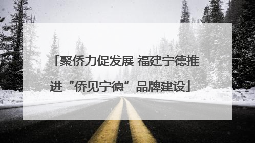 聚侨力促发展 福建宁德推进“侨见宁德”品牌建设