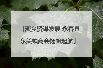 聚乡贤谋发展 永春县东关镇商会扬帆起航