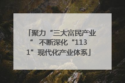 聚力“三大富民产业” 不断深化“1131”现代化产业体系