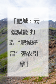肥城：云端赋能 打造“肥城好品”强农引擎