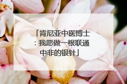 肯尼亚中医博士：我愿做一根联通中非的银针