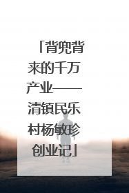 背兜背来的千万产业——清镇民乐村杨敏珍创业记
