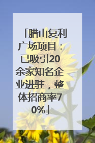 腊山复利广场项目：已吸引20余家知名企业进驻，整体招商率70%