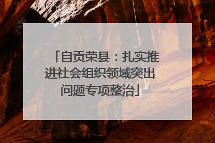 自贡荣县：扎实推进社会组织领域突出问题专项整治