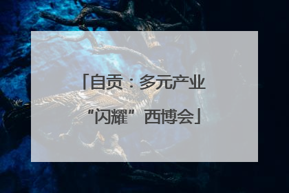 自贡：多元产业“闪耀”西博会