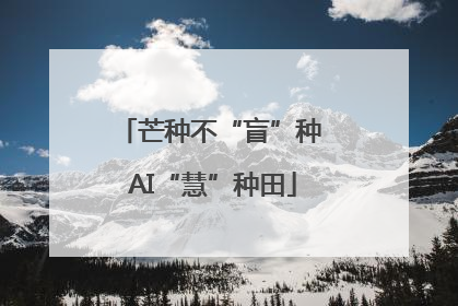 芒种不“盲”种 AI“慧”种田