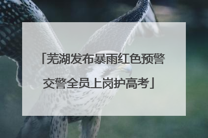 芜湖发布暴雨红色预警 交警全员上岗护高考