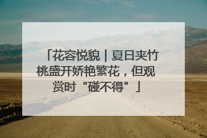 花容悦貌｜夏日夹竹桃盛开娇艳繁花，但观赏时“碰不得”