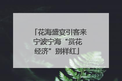 花海盛宴引客来 宁波宁海“赏花经济”别样红