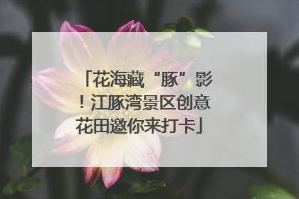 花海藏“豚”影！江豚湾景区创意花田邀你来打卡