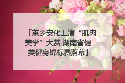 茶乡安化上演“肌肉美学”大赏 湖南省健美健身锦标赛落幕